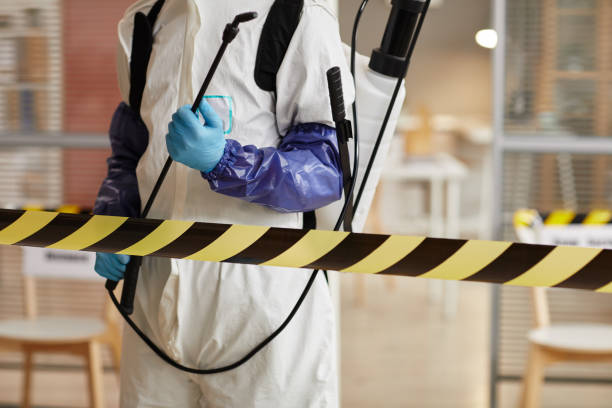 Professional Sewage Cleanup technician working in Arcadia, OH